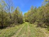 80 acres Clausen Rd - Photo 18