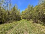 80 acres Clausen Rd - Photo 20