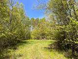 80 acres Clausen Rd - Photo 3