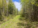 80 acres Clausen Rd - Photo 4