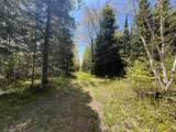 80 acres Clausen Rd - Photo 8