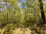 80 acres Clausen Rd - Photo 9