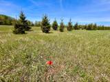 ON Hwy 55 - Photo 8