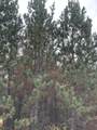 ON Cth Y - Photo 1