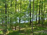 N6838 Mistwood Dr - Photo 82