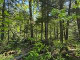 OFF Lake Rd E - Photo 2