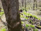 3598N Old J Rd - Photo 21