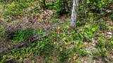 Lot 1 Payment Lake Rd - Photo 13