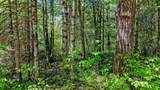 Lot 1 Payment Lake Rd - Photo 16