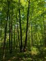 00 Circle Rd - Photo 13