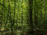 00 Circle Rd - Photo 15