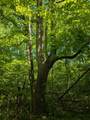 00 Circle Rd - Photo 18