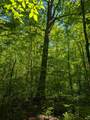 00 Circle Rd - Photo 2
