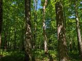 00 Circle Rd - Photo 20