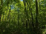 00 Circle Rd - Photo 3