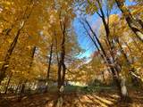 7219 Woodcrest Dr - Photo 47