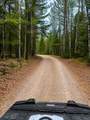 11763 Deepwoods Rd - Photo 38
