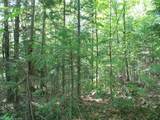 ON Alpine Dr - Photo 2