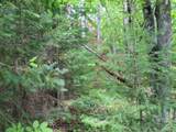 ON Alpine Dr - Photo 10