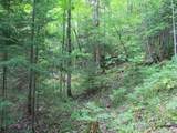 ON Alpine Dr - Photo 12