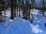 ON Alpine Dr - Photo 15
