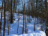 ON Alpine Dr - Photo 16