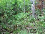 ON Alpine Dr - Photo 19