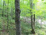 ON Alpine Dr - Photo 2
