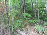 ON Alpine Dr - Photo 23