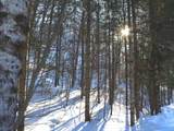 ON Skye Dr - Photo 12