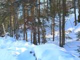 ON Skye Dr - Photo 13