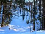 ON Skye Dr - Photo 14