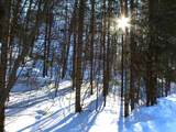 ON Skye Dr - Photo 2