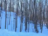 ON Skye Dr - Photo 9