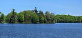 11008 Sunny Shores Rd - Photo 12