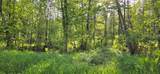 11008 Sunny Shores Rd - Photo 7