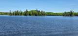 11008 Sunny Shores Rd - Photo 8