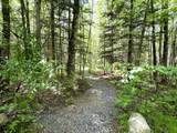 W6980 Dam Rd - Photo 33