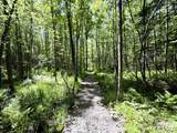 W6980 Dam Rd - Photo 34
