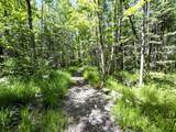 W6980 Dam Rd - Photo 35