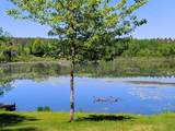 N11068 Pine Tree Ln - Photo 21