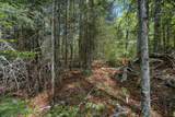 9217 Bald Eagle Rd - Photo 16