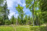 9217 Bald Eagle Rd - Photo 18