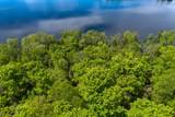 9217 Bald Eagle Rd - Photo 21