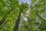 9217 Bald Eagle Rd - Photo 27