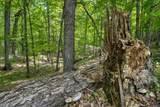 9217 Bald Eagle Rd - Photo 28