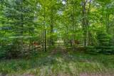 9217 Bald Eagle Rd - Photo 30