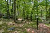 10012 Pine Tree Dr - Photo 26