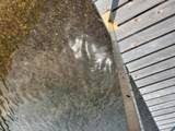 7399 Lake Rest Rd - Photo 4