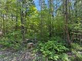 LOT 7 Dream Lake Rd - Photo 1